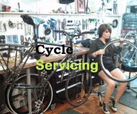 cycle servicing at home
